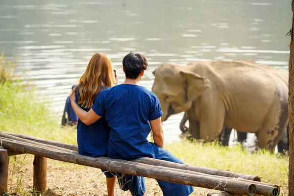 Vista Trasera Una Joven Pareja Mirando Una Manada Elefantes Asiáticos — Foto de Stock