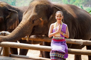 Tayland 'ın kuzeyinden güzel bir kadının portresi bulanık arka planda Asya fili ile çekim yapmak için geleneksel Tayland elbisesi giyiyor..