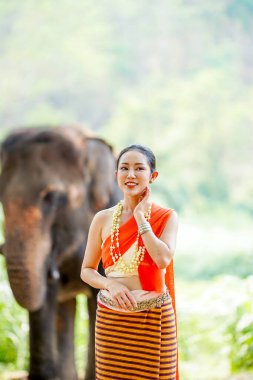 Taylandlı güzel bir kadının portresi Asya fili ve bulanık arka plan için geleneksel Tayland elbisesi giyiyor..
