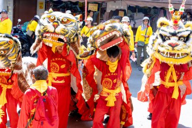 Lampang, Tayland - 11 Kasım 2024: Çin kaplan dansçı grubu, Çin tapınma törenine saygı ve hürmet gösteriyor.