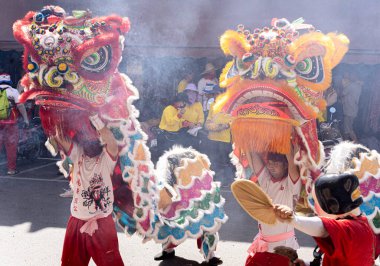 Lampang, Tayland - 11 Kasım 2024: Çinli aslanlar Çin 'de havai fişeklerle oynayarak Lampang şehrinin tanrısal tapınak geçit törenine saygı gösterdiler