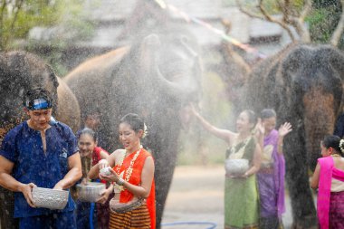 Tayland 'da geleneksel kıyafet giymiş bir grup genç Tayland Yeni Yıl Festivali' nde su serpiyor ya da Songkran Festivali 'nde açık havada fillerle eğlenceli bir şekilde oynuyor.