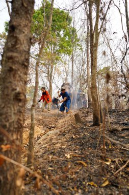 Lampang, Tayland - 04 Nisan 2023: Yetkililer ve köylülerin yangın alanındaki kuru yaprakları süpürerek orman yangını önleme ve bastırma simülasyonu