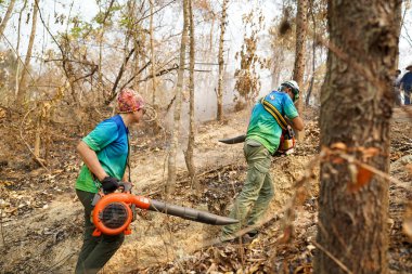 Lampang, Tayland-Nisan 04 2023: İtfaiyecilerin görüntüleri, orman yangını alanındaki yaprakları kurutmak ve dumanı sahte bir orman yangınında söndürmek için toprak üflemek için yüksek güçlü üfleyici kullanıyor