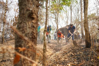 Lampang, Tayland - 04 Nisan 2023: Yetkililer ve köylülerin yangın alanındaki kuru yaprakları süpürerek orman yangını önleme ve bastırma simülasyonu