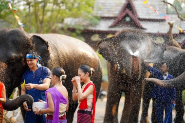 Tayland 'da geleneksel kıyafet giymiş bir grup genç Tayland Yeni Yıl Festivali' nde su serpiyor ya da Songkran Festivali 'nde açık havada fillerle eğlenceli bir şekilde oynuyor.