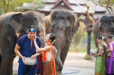 Tayland geleneksel elbiseli genç kadın, Tayland Songkran su festivalinde fillerin su sıçrattığı genç bir adamın yanağına pudra sürüyor..