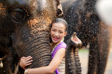 Tayland geleneksel elbisesi içinde neşeli bir Tayland kızı Tayland Songkran su festivalinde Asya filinin hortumuna sarılıyor..