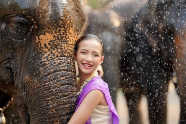 Tayland geleneksel elbisesi içinde neşeli bir Tayland kızı Tayland Songkran su festivalinde Asya filinin hortumuna sarılıyor..