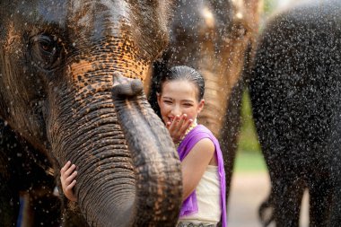 Tayland geleneksel elbisesi içinde neşeli bir Tayland kızı Tayland Songkran su festivalinde Asya filinin hortumuna sarılıyor..