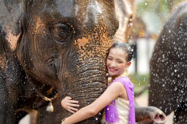 Tayland geleneksel elbisesi içinde neşeli bir Tayland kızı Tayland Songkran su festivalinde Asya filinin hortumuna sarılıyor..