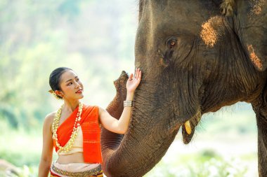 Tayland 'ın kuzeyindeki geleneksel elbise çekiminde güzel Taylandlı bir kadının yakın plan portresi bulanık arkaplandaki Asyalı fille dokunuyor..