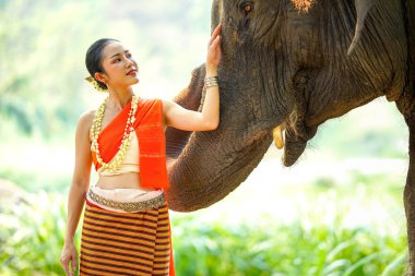 Tayland 'ın kuzeyindeki geleneksel elbise çekiminde güzel Taylandlı bir kadının yakın plan portresi bulanık arkaplandaki Asyalı fille dokunuyor..