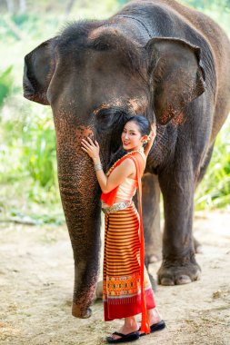 Taylandlı güzel bir kadının portresi bulanık arka planda Asya filli fotoğraf çekimi için geleneksel Tayland elbisesi giyiyor..