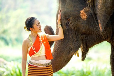 Tayland 'ın kuzeyindeki geleneksel elbise çekiminde güzel Taylandlı bir kadının yakın plan portresi bulanık arkaplandaki Asyalı fille dokunuyor..