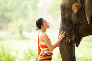 Tayland 'ın kuzeyindeki geleneksel elbise çekiminde güzel Taylandlı bir kadının yakın plan portresi bulanık arkaplandaki Asyalı fille dokunuyor..