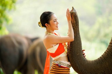 Tayland 'ın kuzeyindeki geleneksel elbise çekiminde güzel Taylandlı kadının yakın plan portresi ve bulanık arka planda Asya fili hortumu..