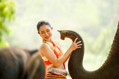 Tayland 'ın kuzeyindeki geleneksel elbiseli güzel Taylandlı kadının yakın plan portresi. Fotoğraf çekimi ve bulanık arka planda Asya fili hortumu..