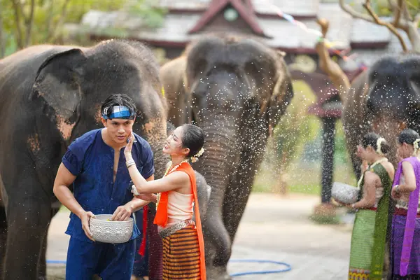 Tayland geleneksel elbiseli genç kadın, Tayland Songkran su festivalinde fillerin su sıçrattığı genç bir adamın yanağına pudra sürüyor..