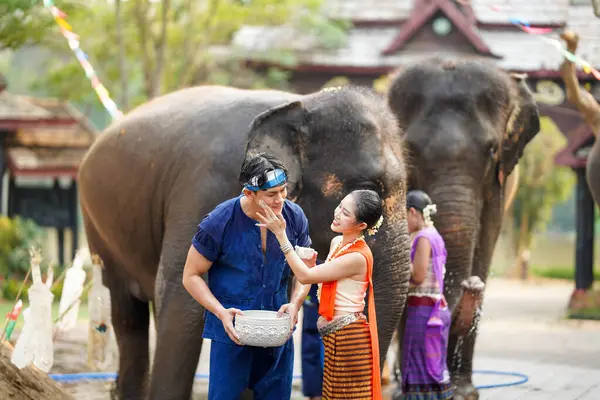 Tayland geleneksel elbiseli genç kadın, Tayland Songkran su festivalinde fillerin su sıçrattığı genç bir adamın yanağına pudra sürüyor..