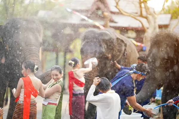 Tayland 'da geleneksel kıyafet giymiş bir grup genç Tayland Yeni Yıl Festivali' nde su serpiyor ya da Songkran Festivali 'nde açık havada fillerle eğlenceli bir şekilde oynuyor.