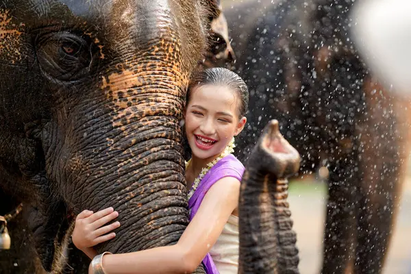 Tayland geleneksel elbisesi içinde neşeli bir Tayland kızı Tayland Songkran su festivalinde Asya filinin hortumuna sarılıyor..