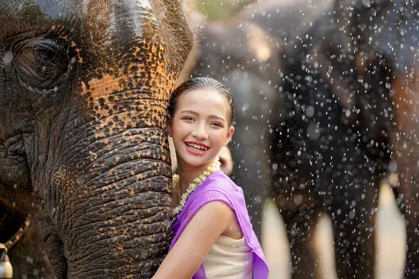 Tayland geleneksel elbisesi içinde neşeli bir Tayland kızı Tayland Songkran su festivalinde Asya filinin hortumuna sarılıyor..