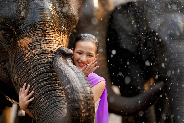 Tayland geleneksel elbisesi içinde neşeli bir Tayland kızı Tayland Songkran su festivalinde Asya filinin hortumuna sarılıyor..