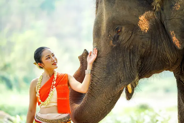 Tayland 'ın kuzeyindeki geleneksel elbise çekiminde güzel Taylandlı bir kadının yakın plan portresi bulanık arkaplandaki Asyalı fille dokunuyor..