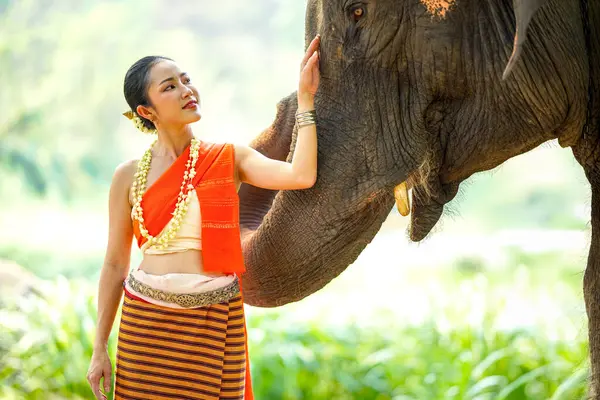 Tayland 'ın kuzeyindeki geleneksel elbise çekiminde güzel Taylandlı bir kadının yakın plan portresi bulanık arkaplandaki Asyalı fille dokunuyor..