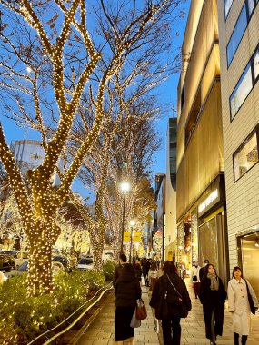Tokyo Şehri, Japonya-12 Aralık 2024: Omotesando Caddesi, Harajugu bölgesinde sonbaharda yaşam tarzı olan bir gece manzarası. Bu bölge Tokyo 'da lüks butikleriyle tanınan şık bir cadde..