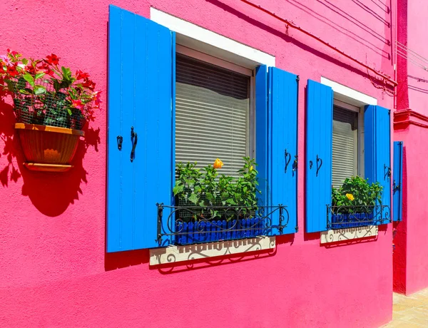Flower Pots Decorate Walls Blue Windows Pink House Colorful Architecture — Stok fotoğraf