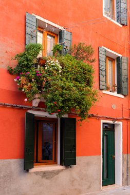 Flower pots decorate on the walls and green windows of the red house. Colorful architecture in Venice, Italy