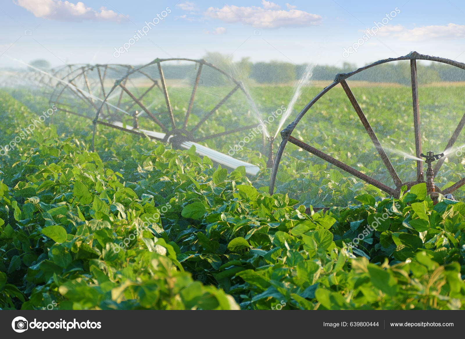농업용 시설은 건기에 식물을 재배하는 도움이 아름다운 풍경의 — 스톡 사진 © branex #639800444, image size:1600x1167