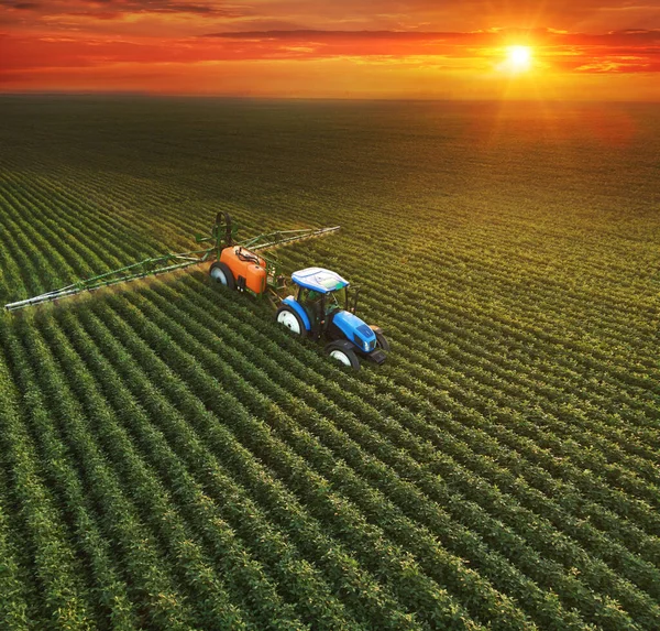 Vista Aérea Del Pulverizador Cultivos Pulverización Pesticidas Campo Soja Atardecer —  Fotos de Stock