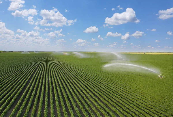 Luftaufnahme Des Bewässerungssystems Regenwasserkanone Sprinkler Auf Landwirtschaftlichen Sojabohnenfeld Hilft Pflanzen — Stockfoto