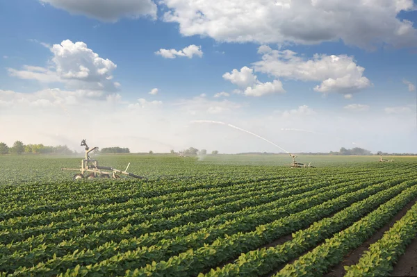 大豆畑の灌漑システムは 乾季に植物を育てるのに役立ちます 田園風景美しい晴れた日 — ストック写真