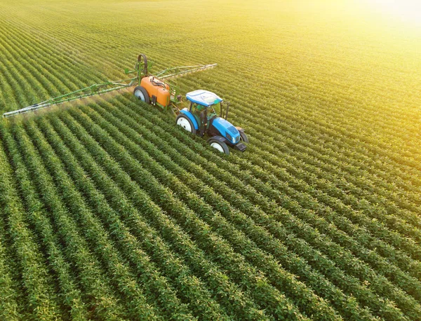Aerial view of crop sprayer spraying pesticide on a soybean field at sunset, Drone shot flying over agricultural soybean field, tractor and crop sprayer protection plants against diseases and insects to increase crop yield