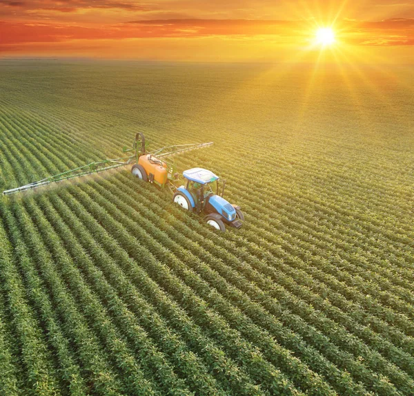 Aerial view of crop sprayer spraying pesticide on a soybean field at sunset, Drone shot flying over agricultural soybean field, tractor and crop sprayer protection plants against diseases and insects to increase crop yield