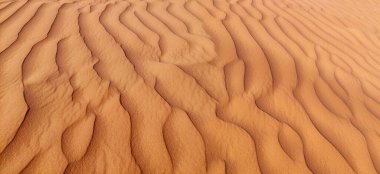 Çöl kum tepesi manzarası - Altın kum dalgaları