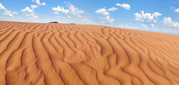 砂漠の砂丘風景の背景 黄金の砂の波 — ストック写真