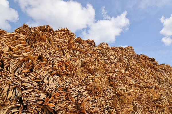 Ahşap Endüstrisinde Kereste Yığınları Ağaç Kabukları Kereste Fabrikasında Daha Fazla - Stok İmaj