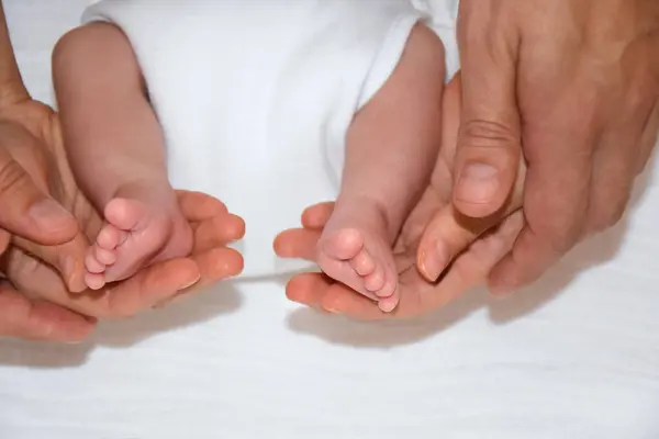 Babyfüße Den Händen Von Mutter Und Vater Eltern Und Ihr Stockbild
