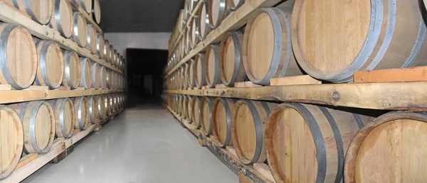 Cellar with barrels for storage of wine in winery. Making wine barrels in rows