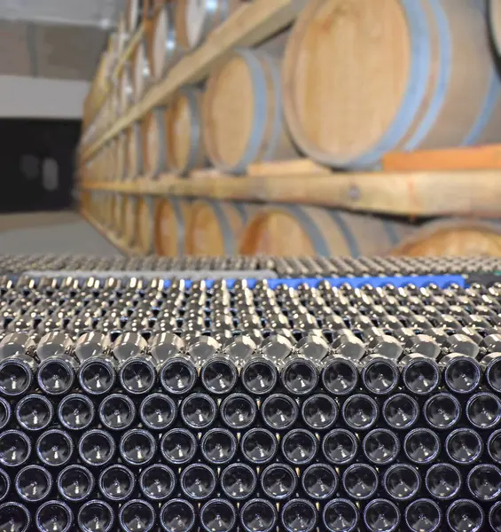 Cellar Bottles Barrels Storage Wine Winery Making Wine Barrels Rows Royalty Free Stock Photos