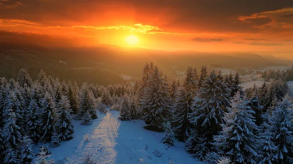 在空中俯瞰着冬季落日时的森林 山水覆盖着树木 美丽的欧洲松林山 季节飘扬着白雪公主般的冻土田园诗 免版税图库图片