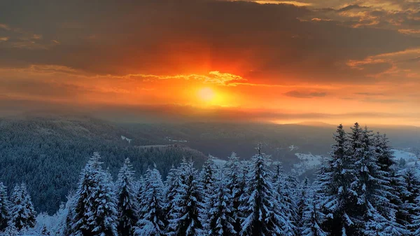 Luchtfoto Van Het Bos Winter Bij Zonsondergang Landschap Besneeuwde Bomen Stockfoto