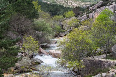 La Pedriza, Guadarrama Dağları Milli Parkı'nda, Madrid, İspanya ile ders boyunca nehir Manzanares