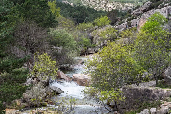 Río Manzanares Largo Recorrido Por Pedriza Parque Nacional Las Montañas — Foto de Stock