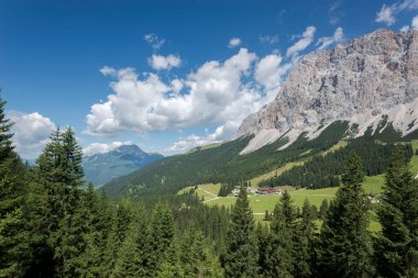 Norveç ladin ve ormanları, Pikea abileri, Mieming Sıradağları, Tyrol Eyaleti, Avusturya